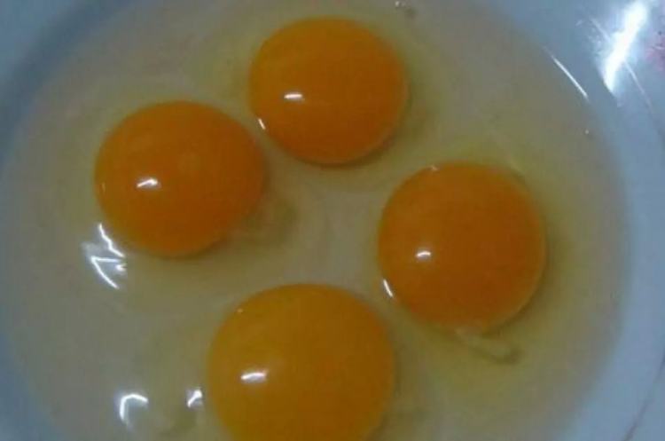 美味蛋饺步骤2