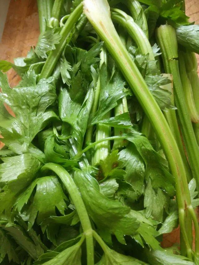 芹菜虾仁水饺步骤1