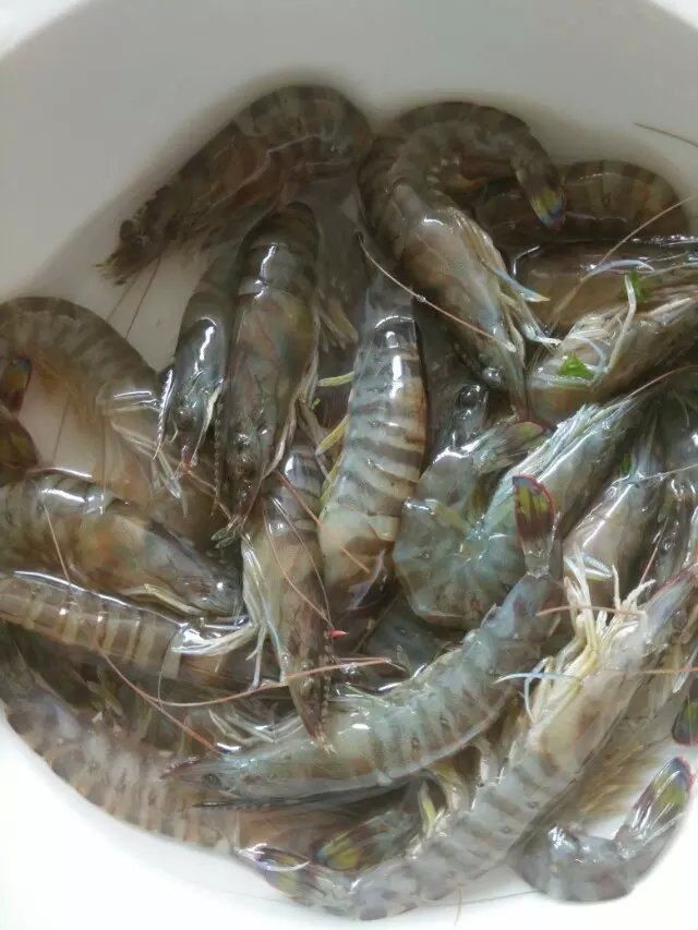 芹菜虾仁水饺步骤7