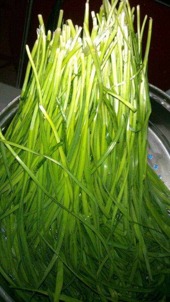 蔬菜绿皮猪肉韭菜馅饺步骤2