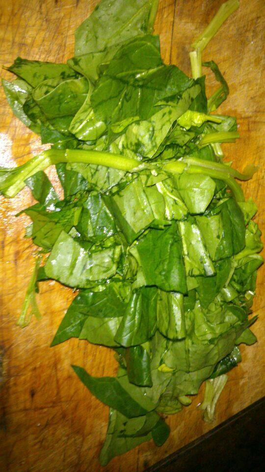 蔬菜绿皮猪肉韭菜馅饺步骤4