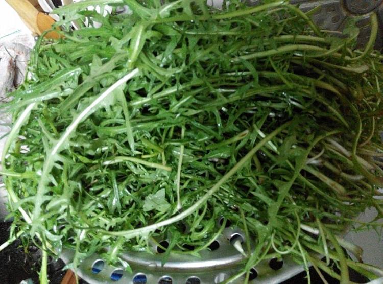 婆婆丁馅水饺步骤2