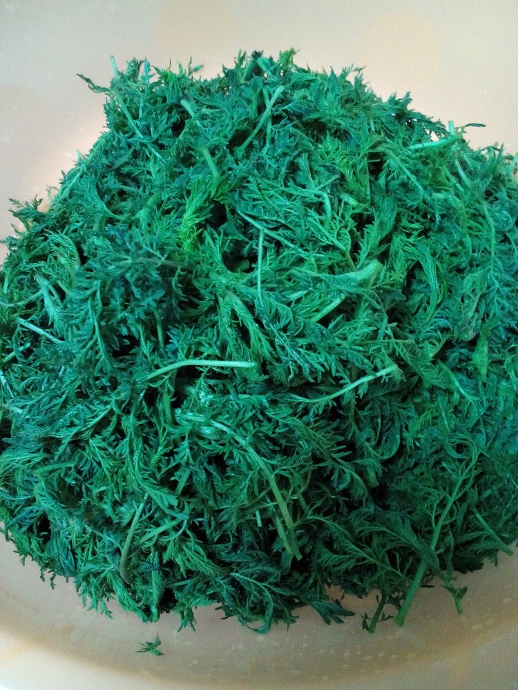 麦蒿饺子步骤3
