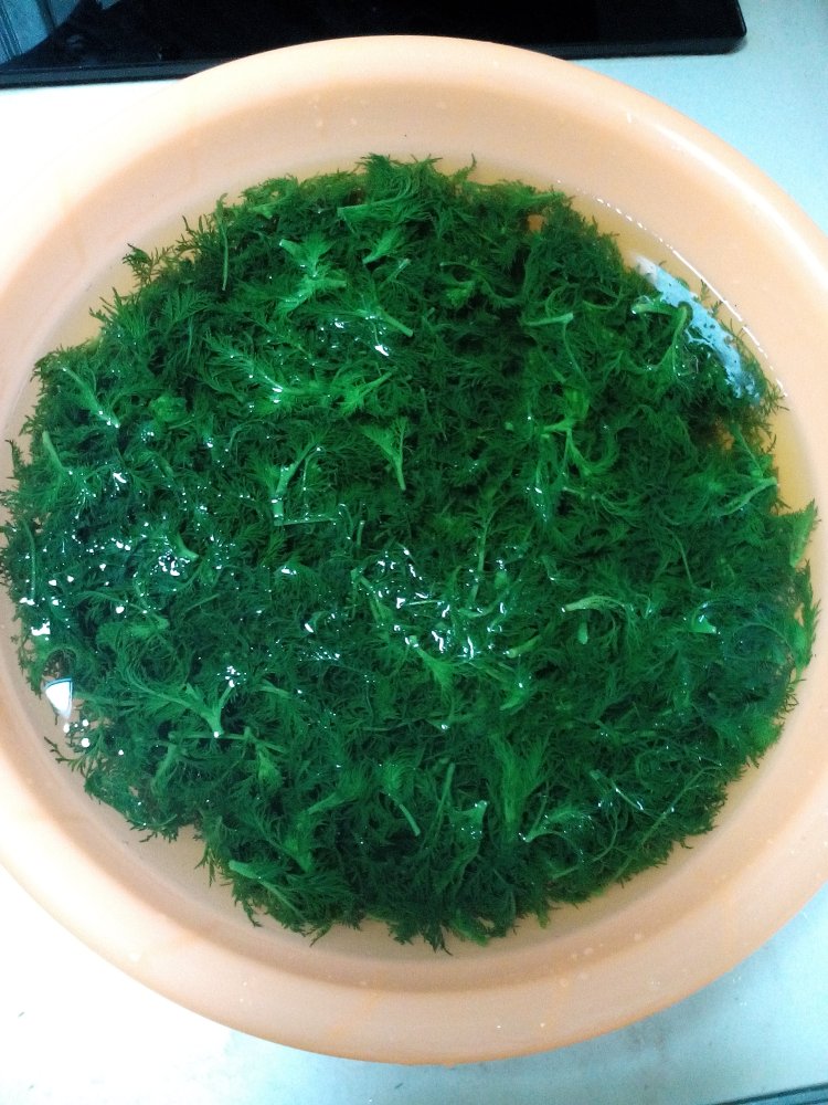 麦蒿饺子步骤5