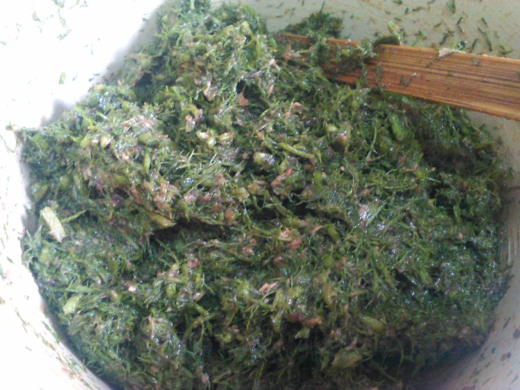 牛肉茴香饺子步骤7