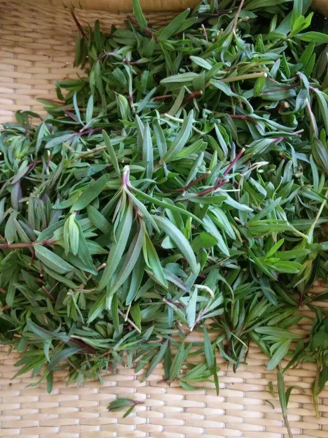 山苜楂虾仁饺子步骤1