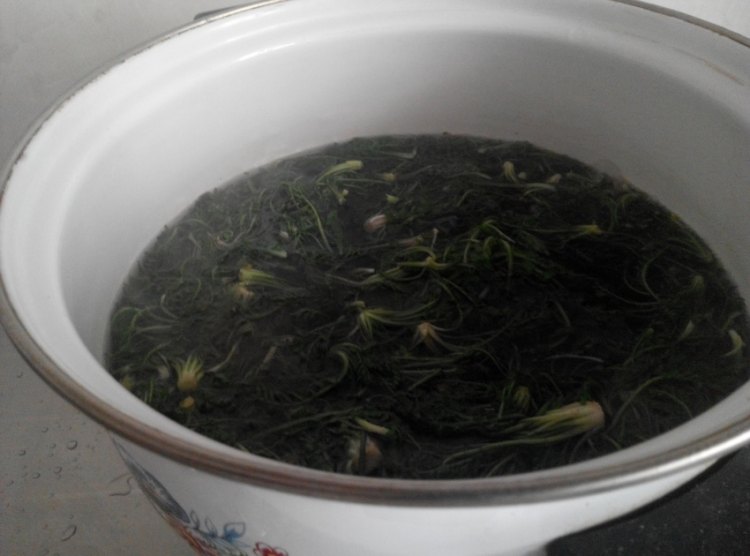 野荠菜猪肉馅水饺步骤8