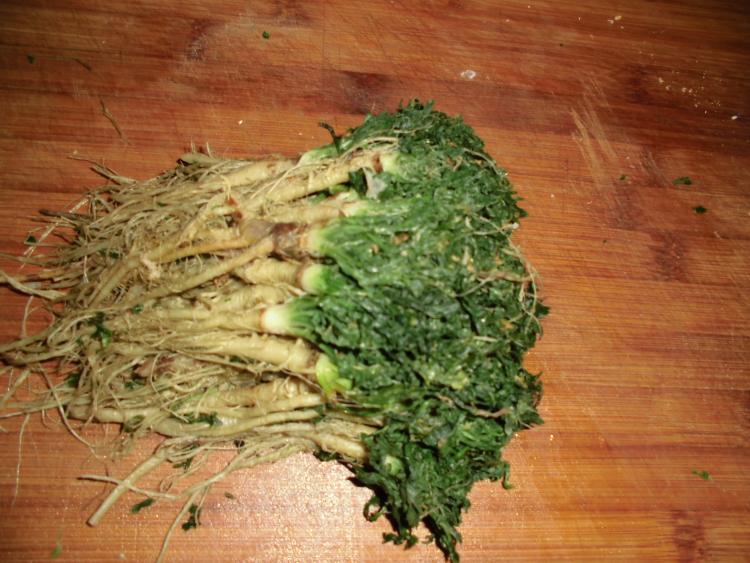 野菜韭菜饺子步骤2