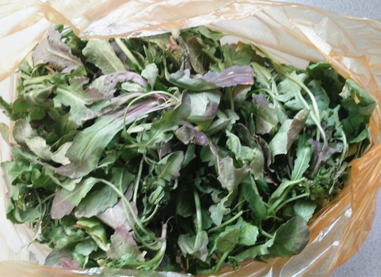 荠菜猪肉水饺步骤1