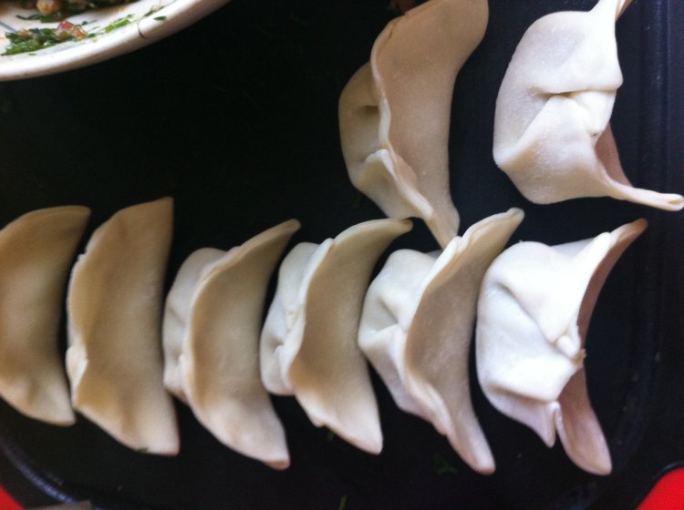 茴香鲜肉饺步骤14
