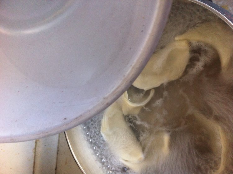 茴香鲜肉饺步骤16