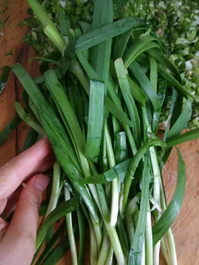 香芹蛤肉水饺步骤5