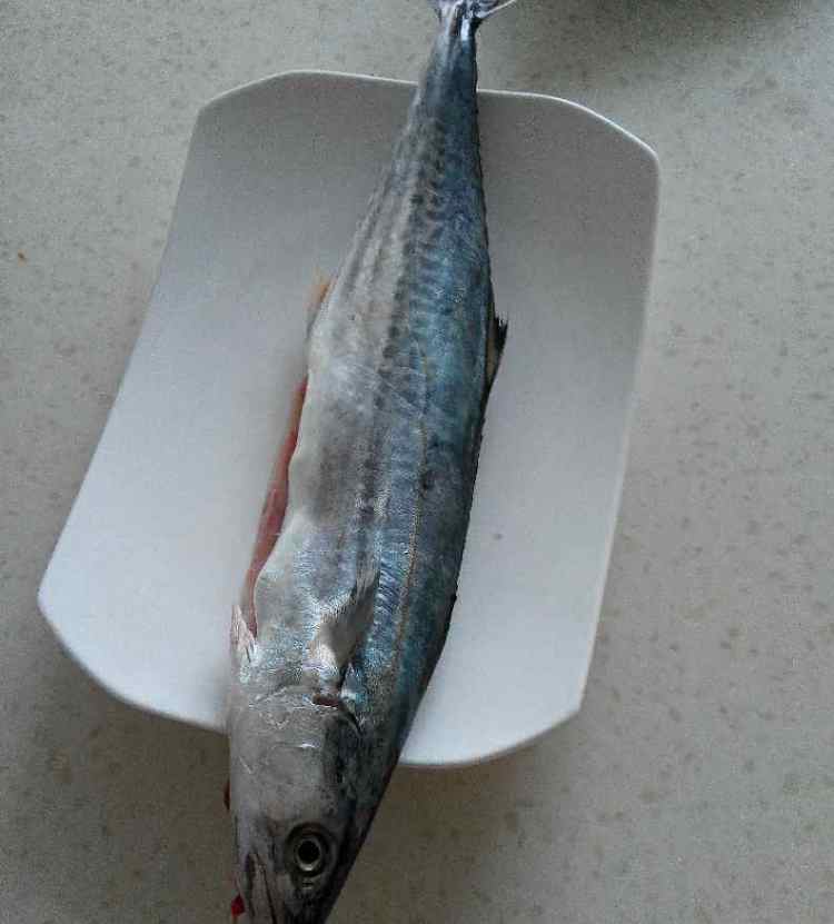 鲅鱼水饺步骤1