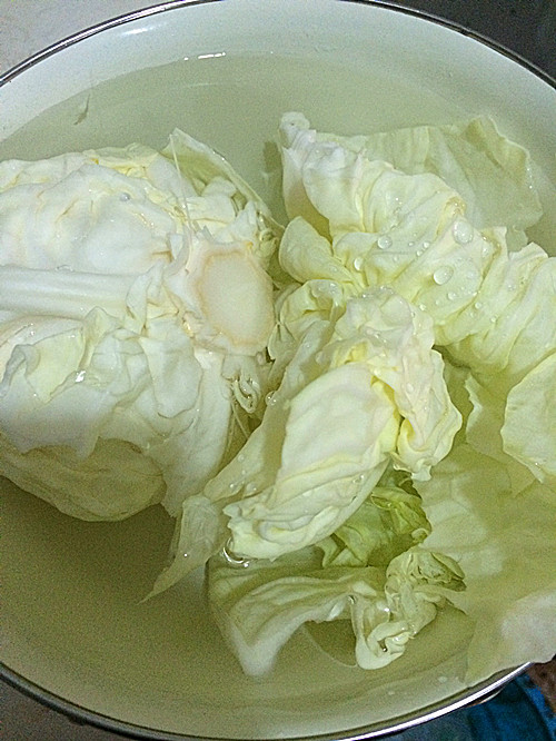 香菇卷心菜水饺步骤2