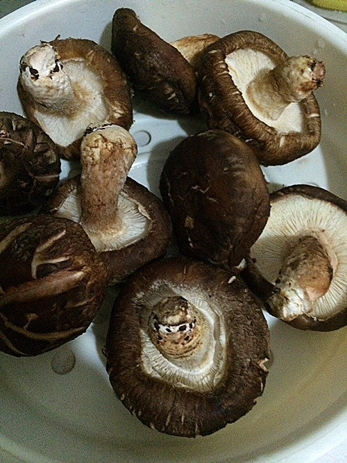 香菇卷心菜水饺步骤3
