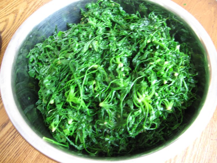 秋荠菜猪肉水饺步骤4