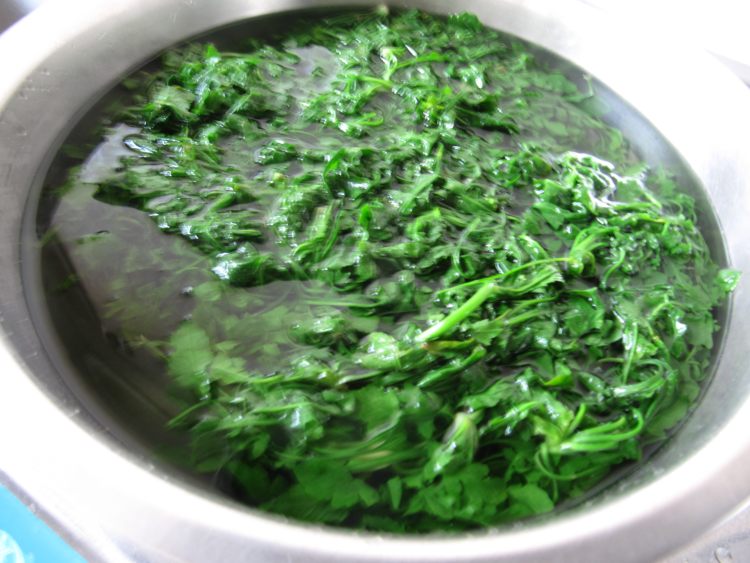 秋荠菜猪肉水饺步骤3