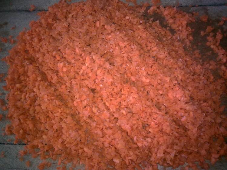 野蘑胡萝卜肉饺步骤4
