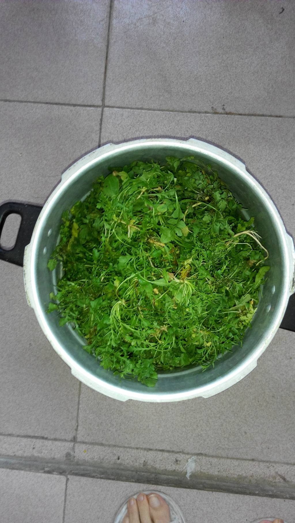 荠菜鸡蛋虾皮水饺步骤2