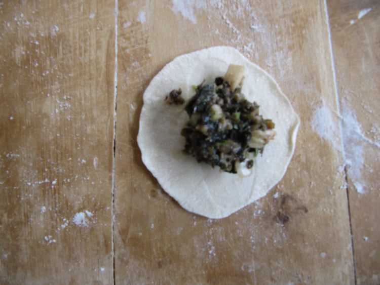 马齿苋野菜猪肉饺子步骤5