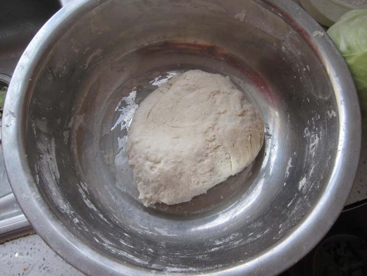 白菜胡萝卜肉饺子步骤6
