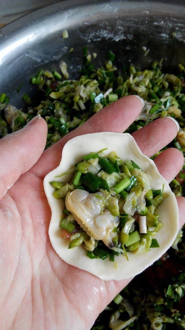 槐树花蛤肉饺子步骤7