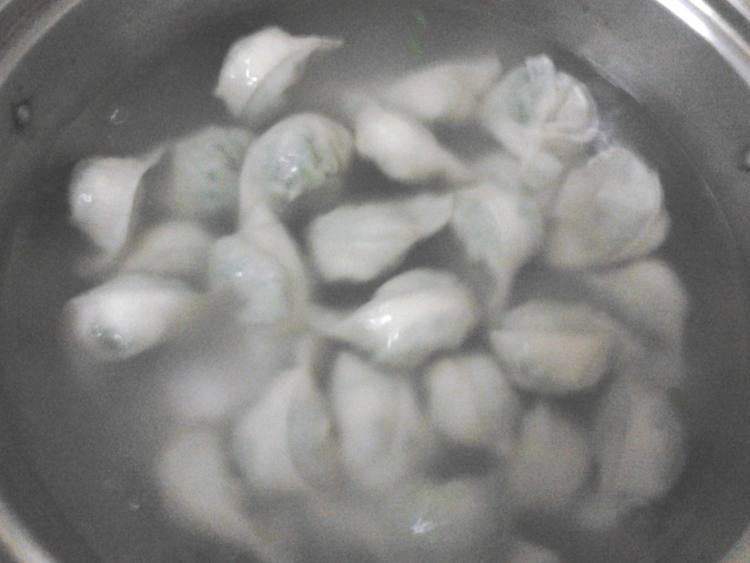 韭菜豆角饺子步骤5
