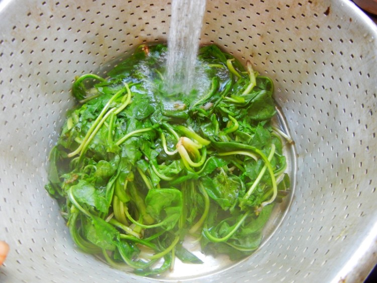 婆婆丁水饺步骤4