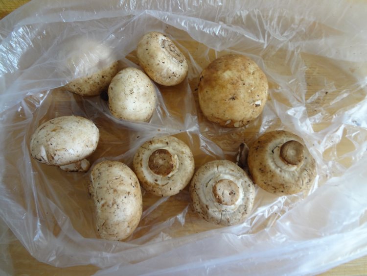 草菇青菜饺子步骤3