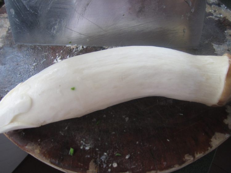 杏鲍菇韭菜鲜肉水饺步骤2