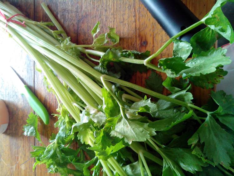肉末芹菜水饺步骤1