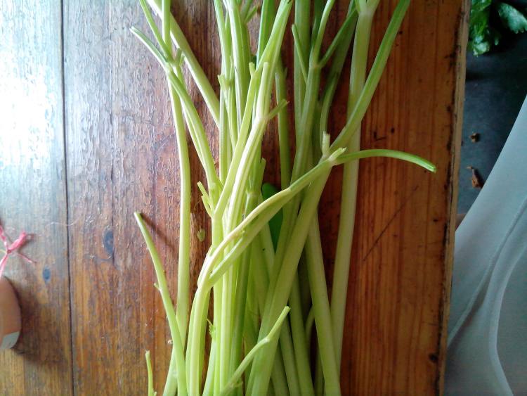 肉末芹菜水饺步骤2