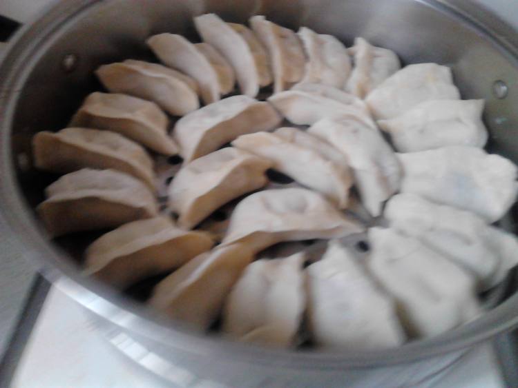 猪肉菜葫芦馅蒸饺步骤10