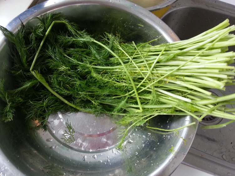 荞麦鸡蛋茴香蒸饺步骤1