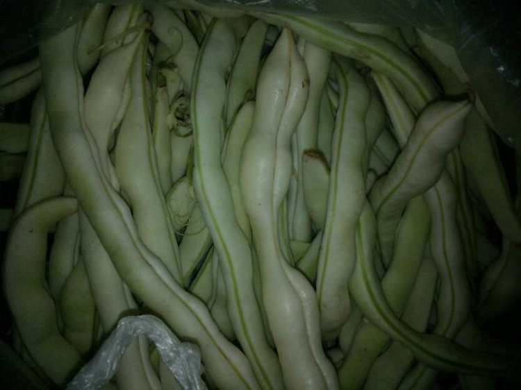 芸豆猪肉饺子步骤1