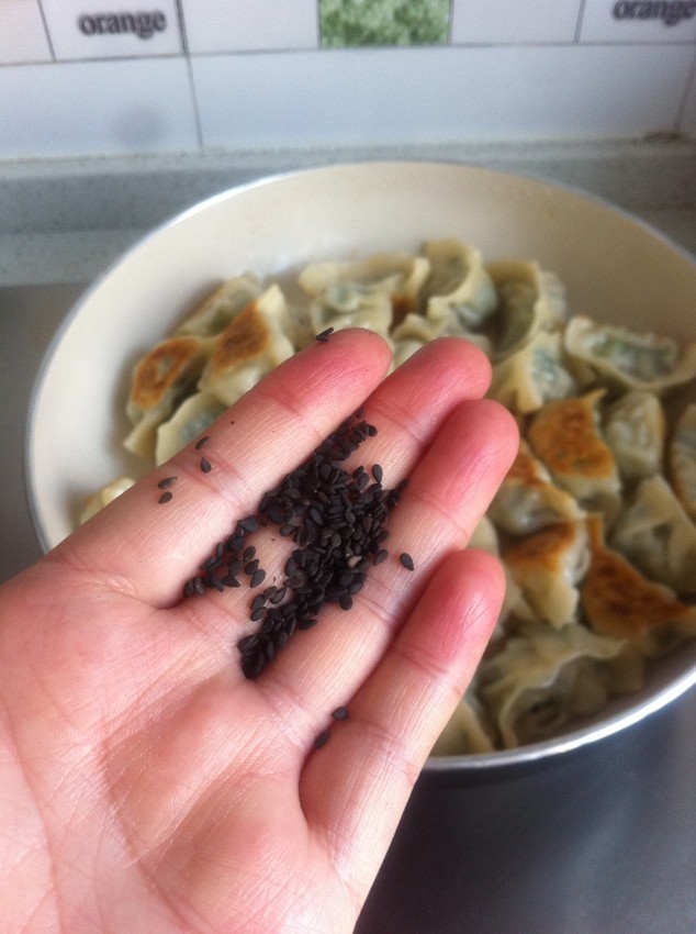 芹菜马蹄煎饺步骤12