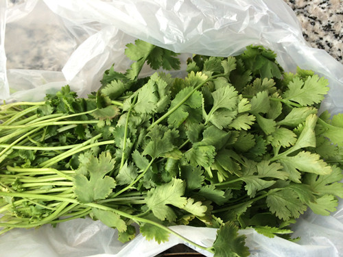 羊肉白萝卜水饺步骤1