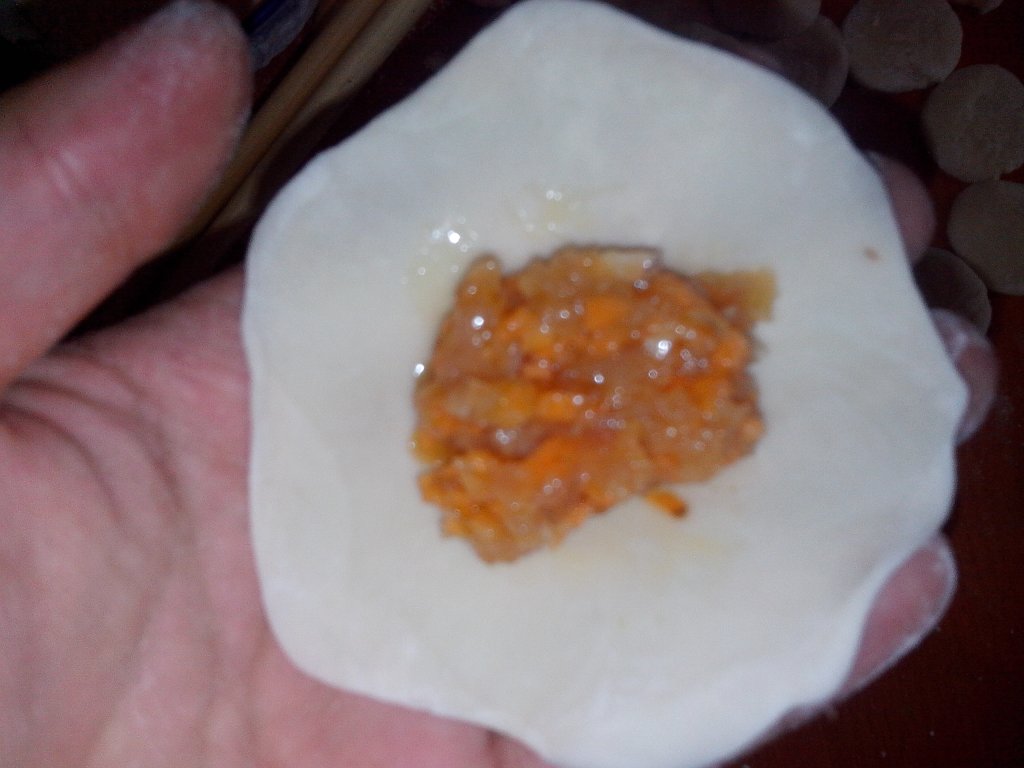 鸡肉胡萝卜水饺步骤11