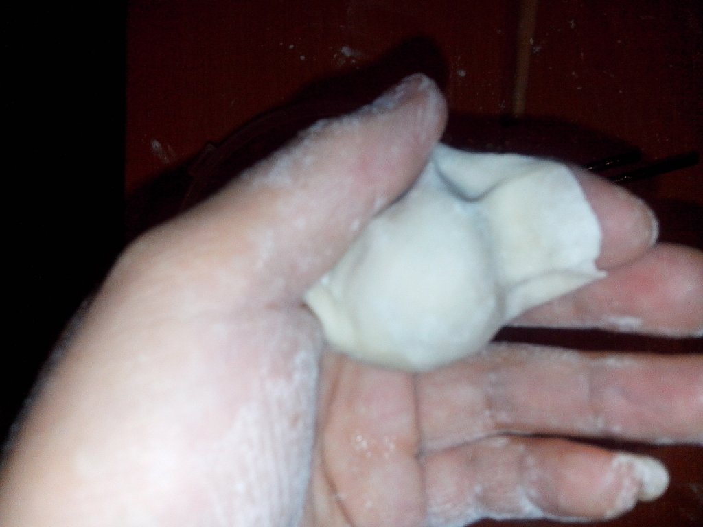 猪肉西红柿馅水饺步骤19