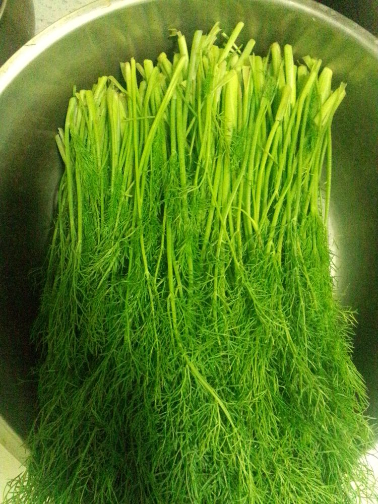 鸡蛋茴香饺子步骤8
