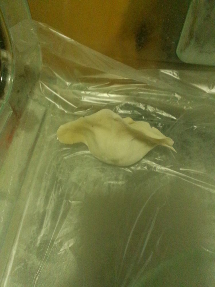 鸡蛋茴香饺子步骤14