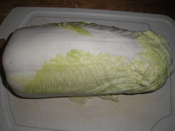 白菜韭菜牛肉水饺步骤4