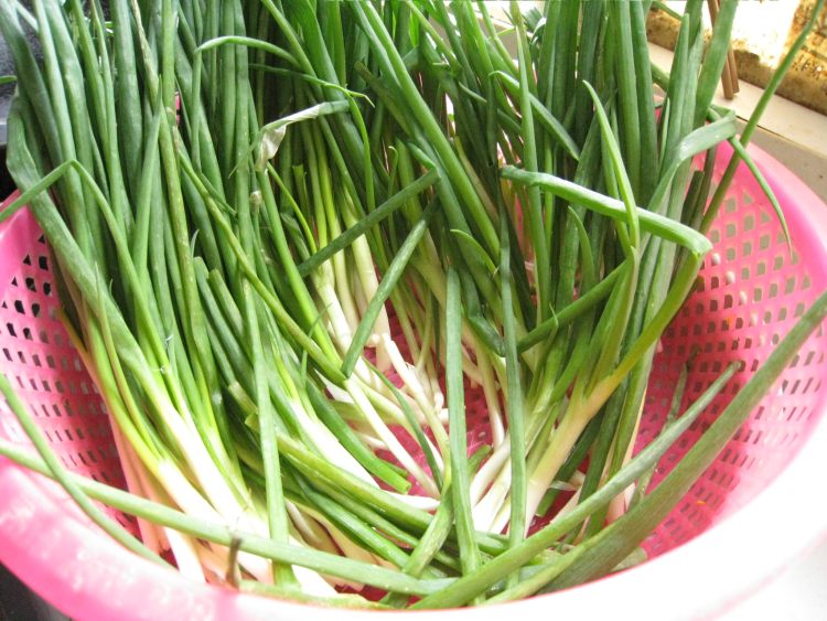 香葱饺子步骤3