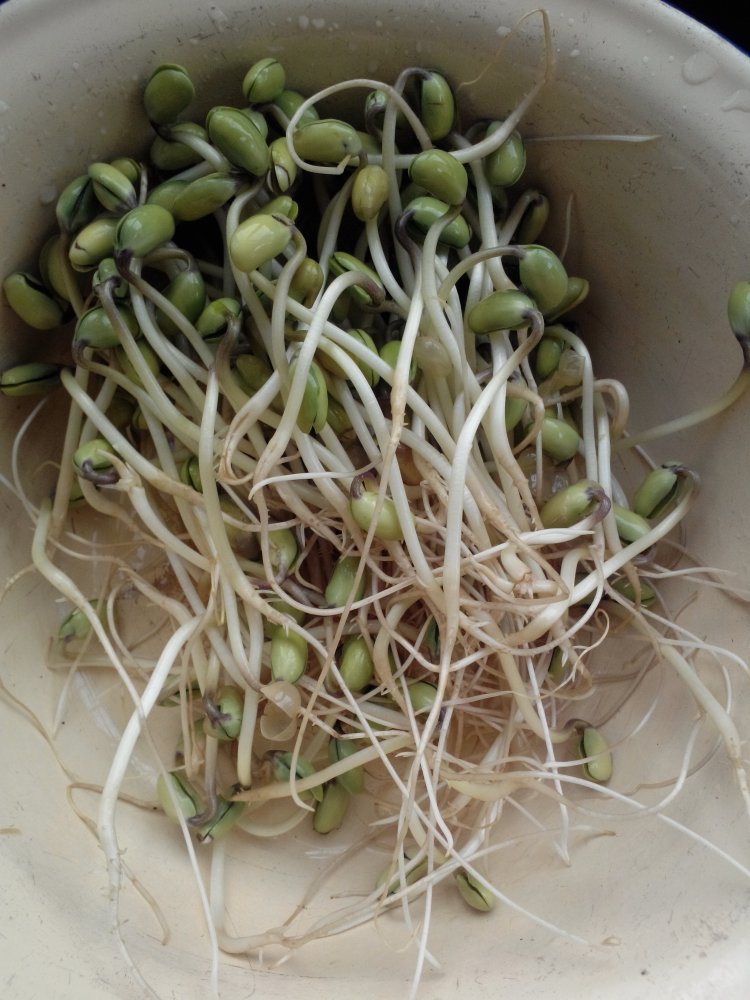 黄豆芽炒馒头步骤1