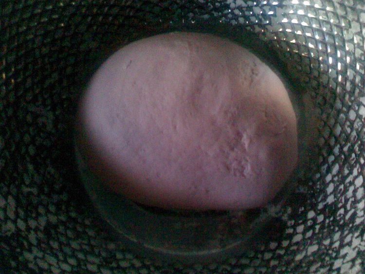 豆沙馅紫薯馒头步骤4