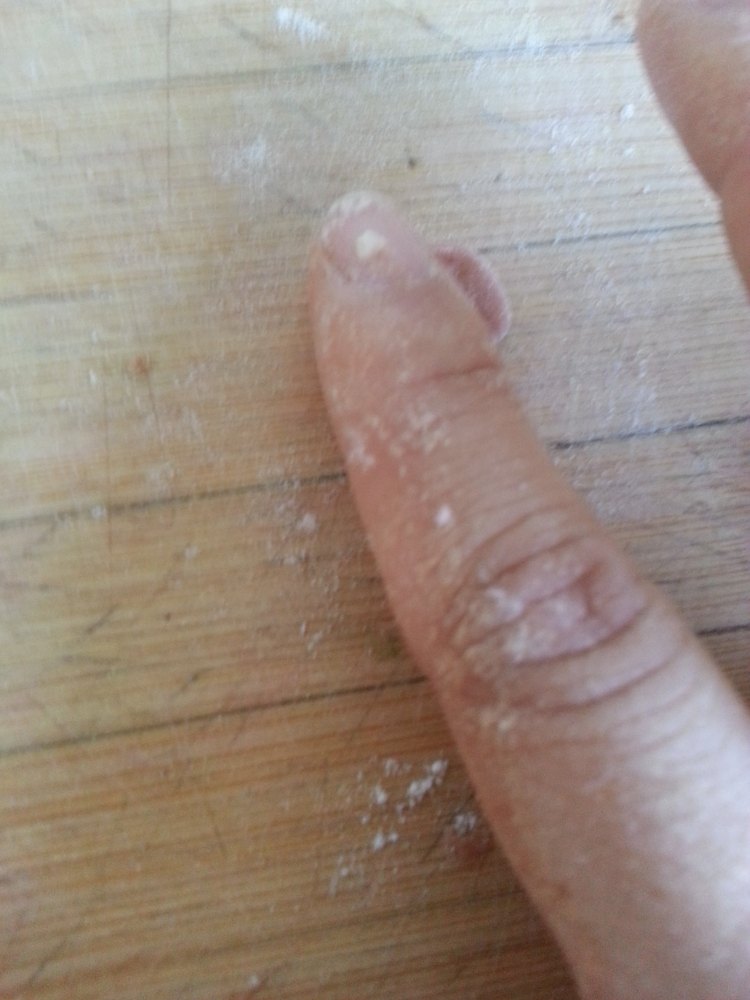 小熊猫绿豆包步骤7