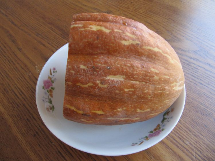 南瓜粗粮馒头步骤1