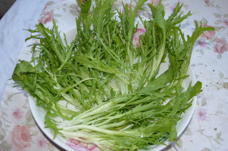 苦菊馒头步骤3