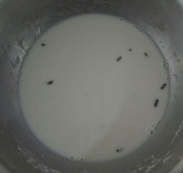 赤小豆馒头步骤2
