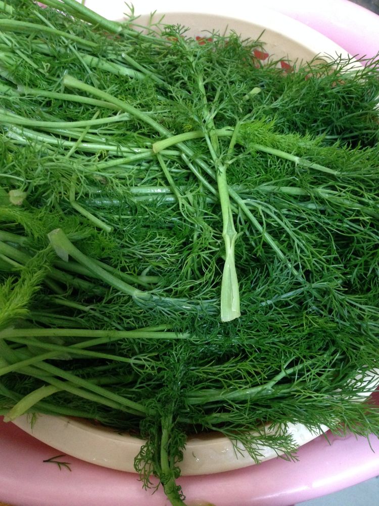 茴香猪肉包步骤1